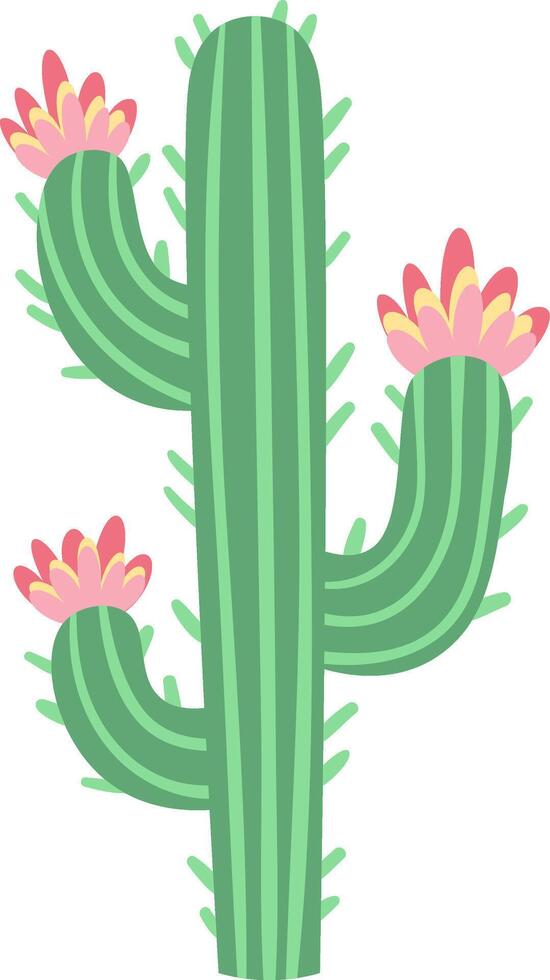 Saguaro cactus adorned with three vibrant pink flowers blooming on its arms, representing resilience and beauty thriving in harsh desert environments vector
