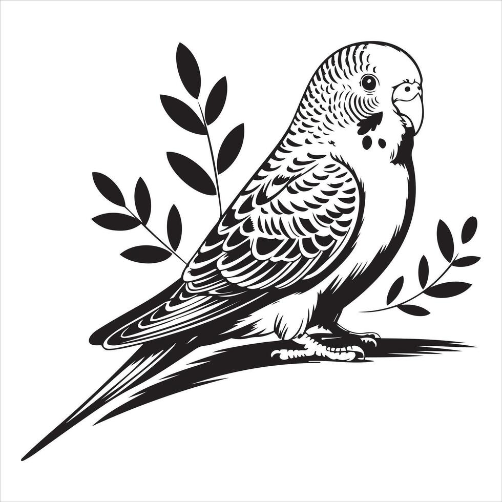 Detailed Black and White Line Art of a Budgie on a Branch vector