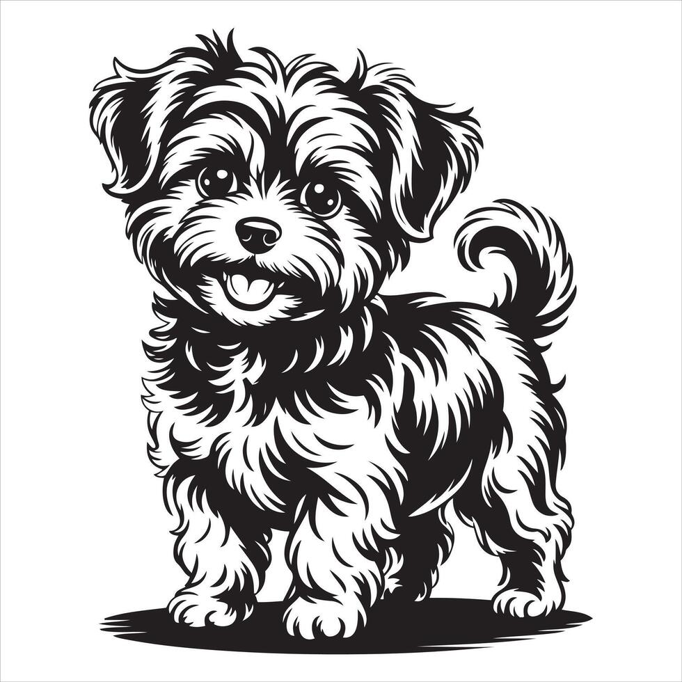 Adorable Black and White Maltese Puppy Cartoon vector