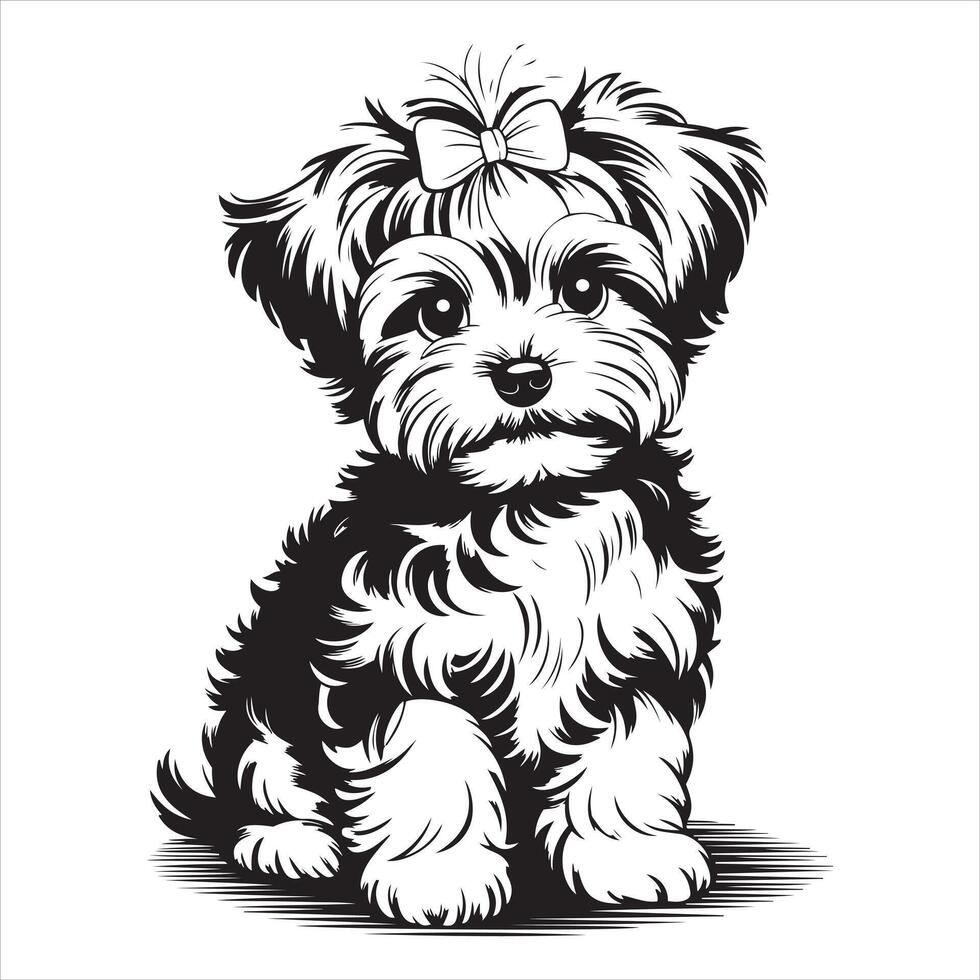 Adorable Maltese Puppy with Bow - Black and White Line Art vector