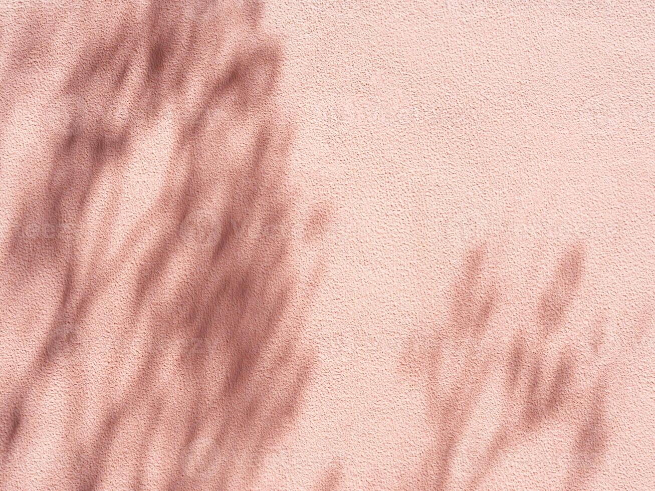 Minimal abstract silhouette shadow pink background of natural leaves of a tree branch falling on the wall photo