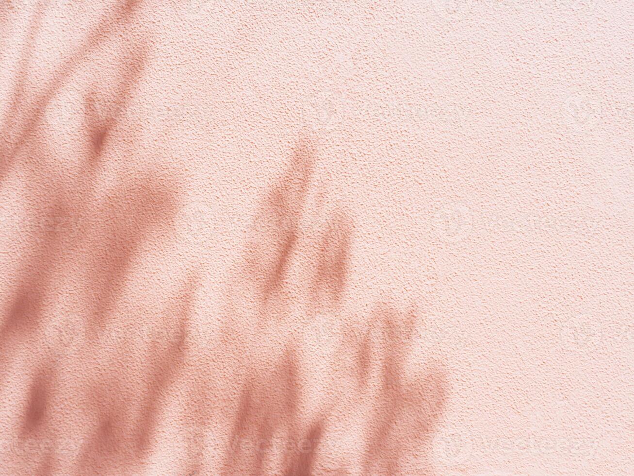 Minimal silhouette shadow pink background of natural leaves of a tree branch falling on the wall photo