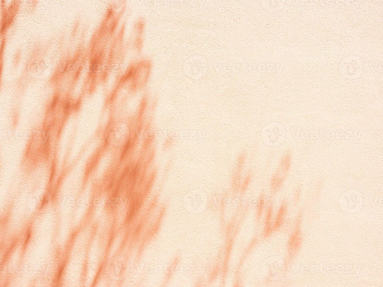 Minimal abstract silhouette shadow beige background of natural leaves of a tree branch falling on the wall photo