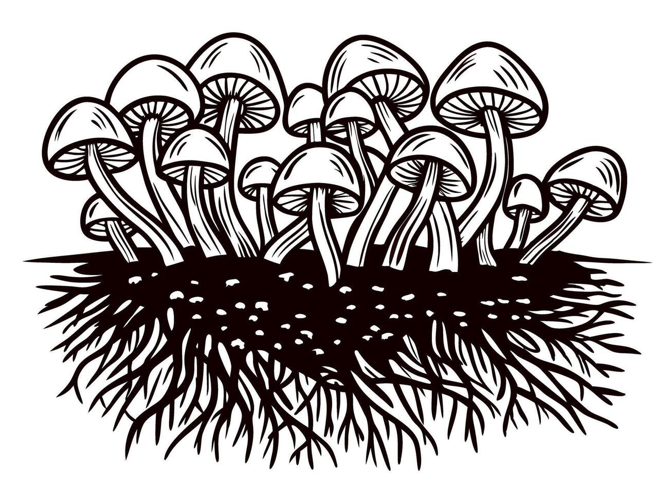 Cluster of wild mushrooms with detailed roots, hand drawn black and white botanical illustration vector