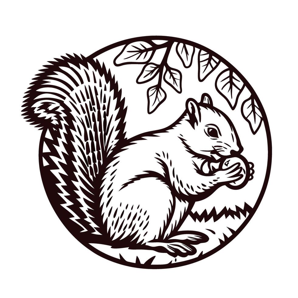 Engraved vintage illustration of a squirrel eating nut under tree branch with detailed tail and foliage elements vector