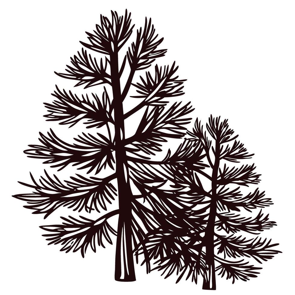 Silhouette illustration of two wild pine trees with intricate branches isolated on white background vector