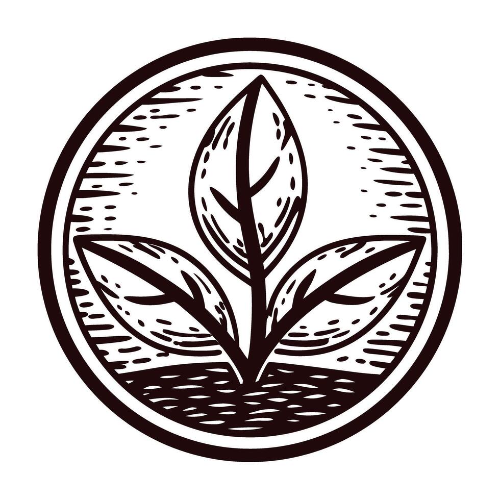 Hand drawn plant emblem with three leaves inside circular border vintage engraving botanical illustration vector