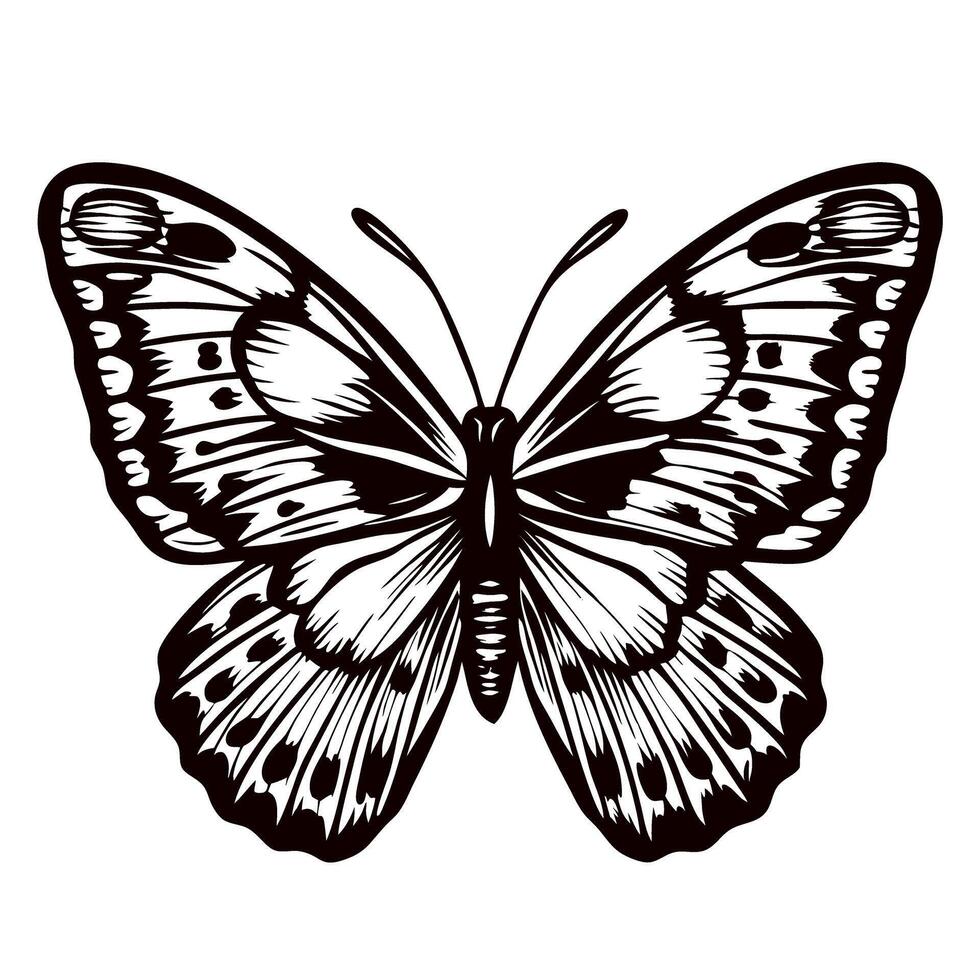Intricate monochrome butterfly illustration with detailed wings and symmetrical patterns vector
