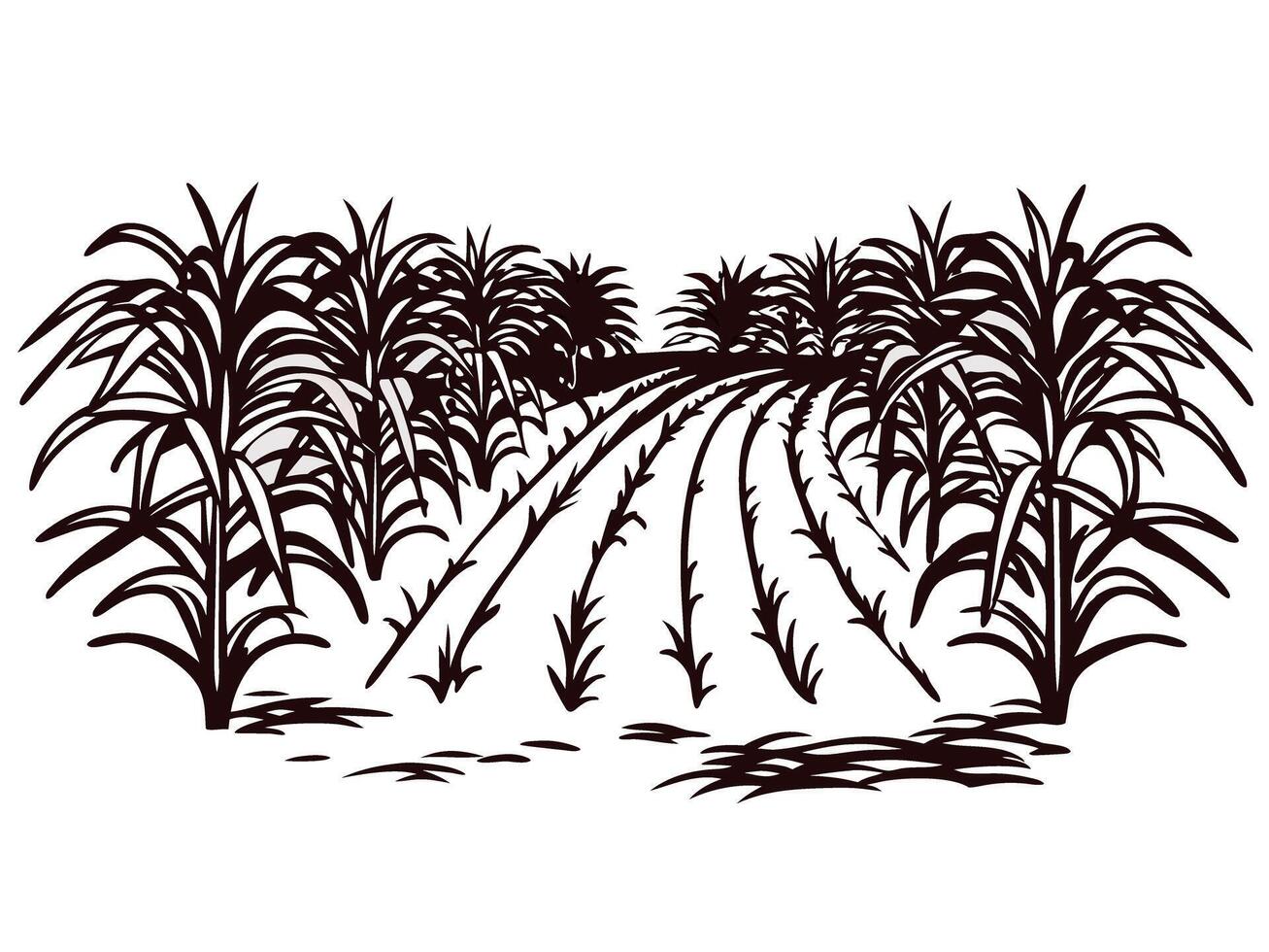 Hand drawn sugarcane field landscape with rows of plants and clear sky background vector