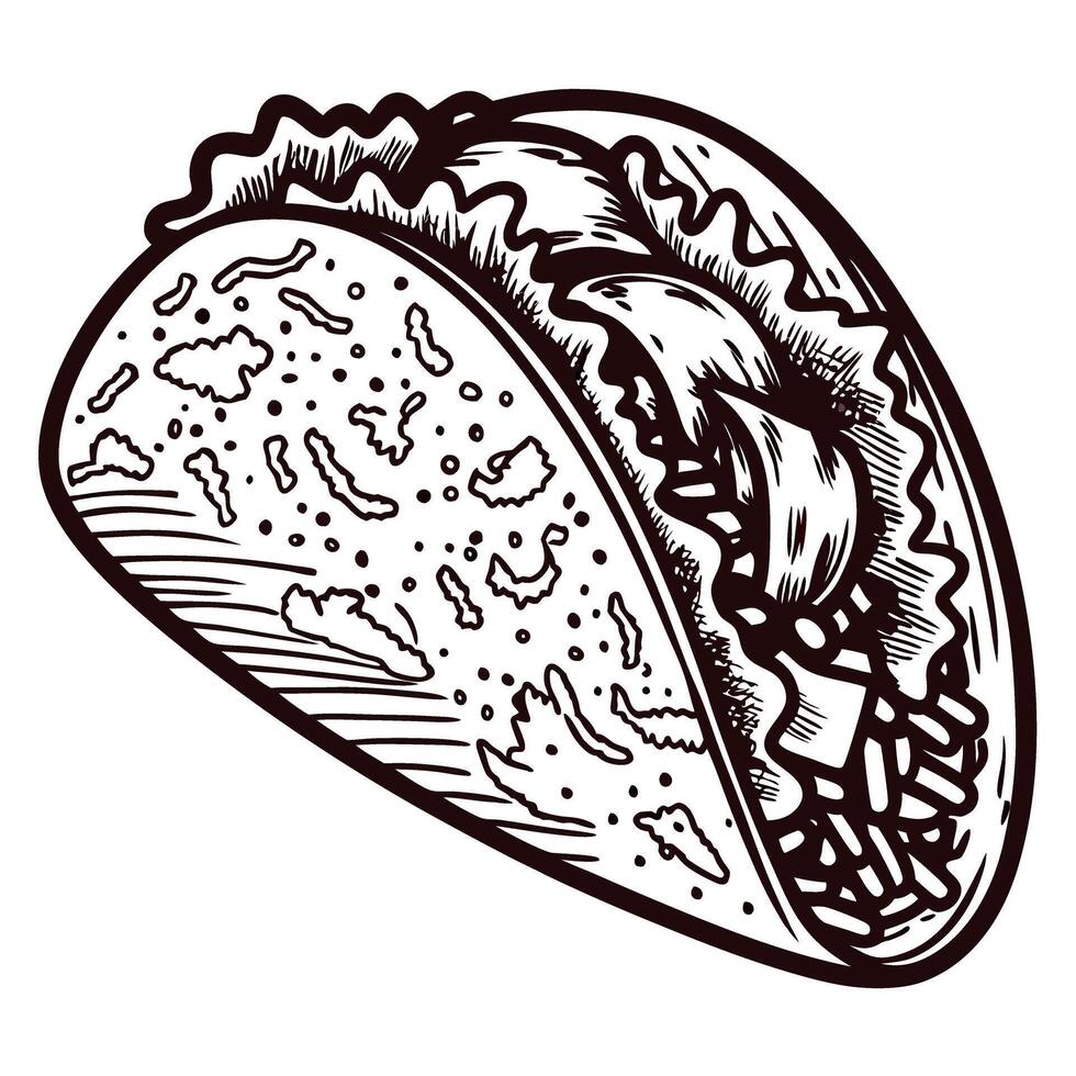 Hand drawn taco illustration with lettuce, tomato, and cheese engraved vintage etching food vector