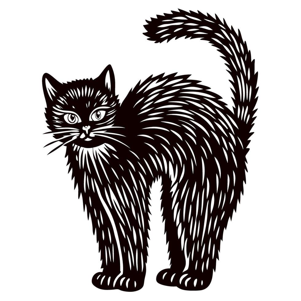 Frightened arched black cat illustration with bristling fur and expressive eyes isolated on white background vector
