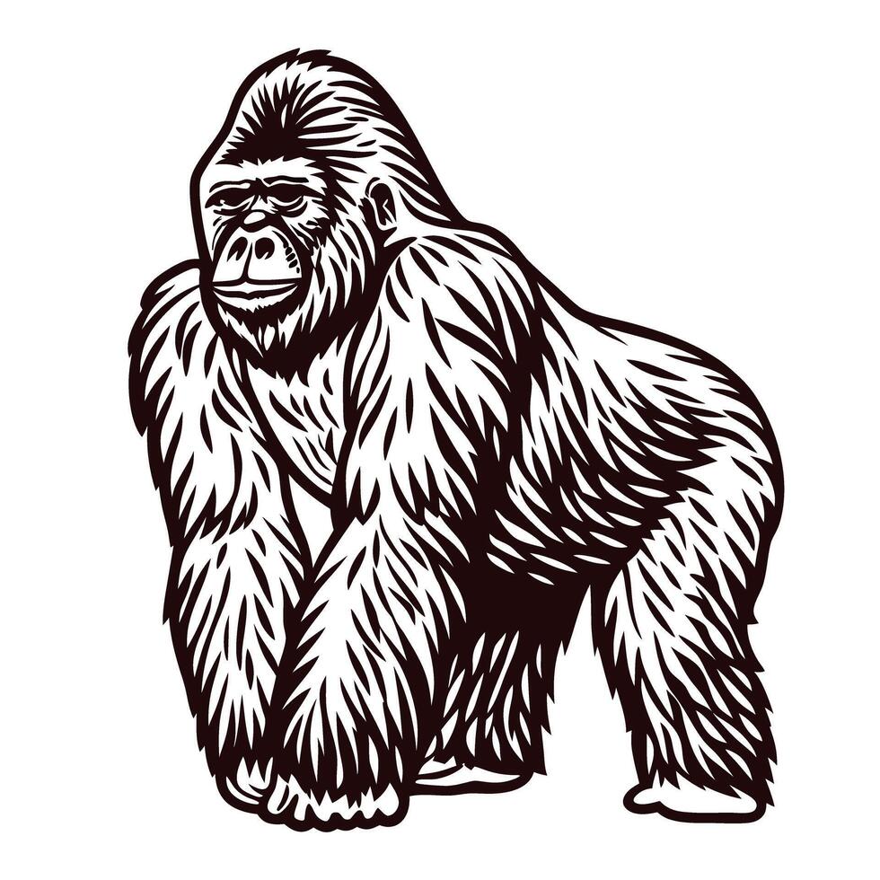 Hand drawn gorilla illustration in vintage engraved isolated on white background vector