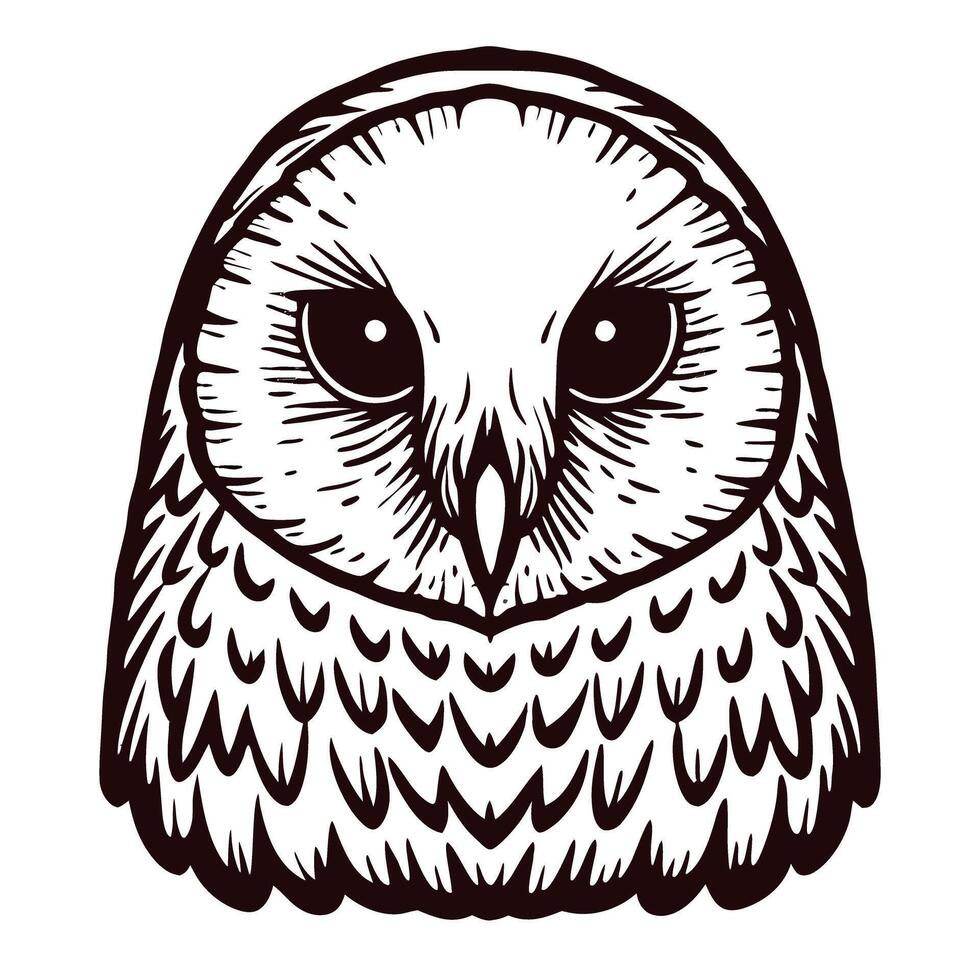Hand drawn owl illustration with detailed feathers and expressive eyes on white background vector