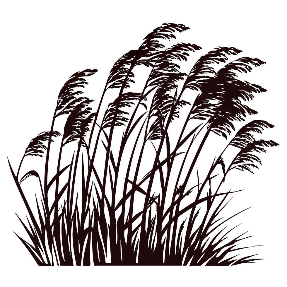 Silhouette of tall grass swaying in wind against white background vector