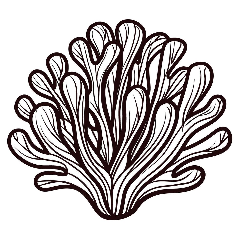 Hand drawn engraved illustration of seaweed branch detailed botanical element isolated on white background vector