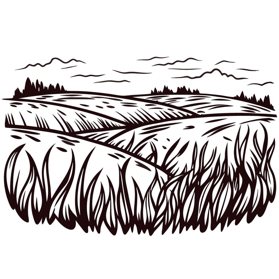 Rolling hills and fields in black and white ink drawing with cloudy sky vector