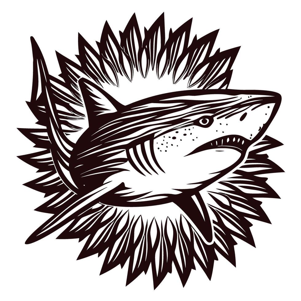 Hand drawn aggressive shark with open mouth and sharp teeth surrounded by stylized burst engraving illustration vector