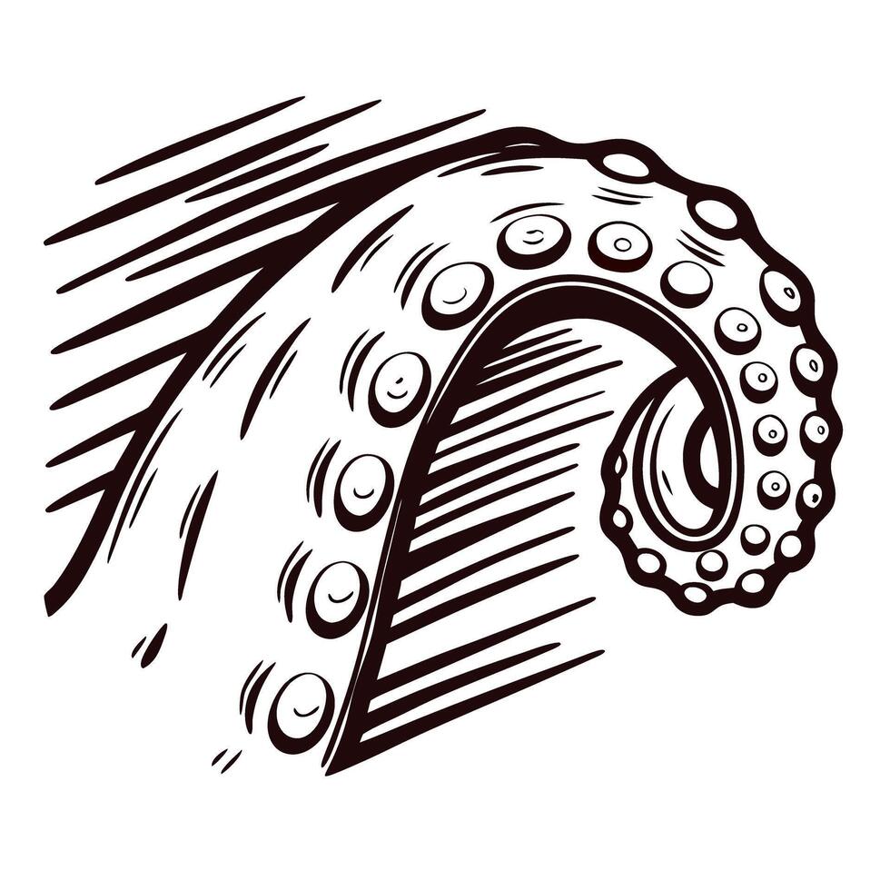 Vintage engraved drawing of a curled octopus tentacle with detailed suction cups isolated on white background vector