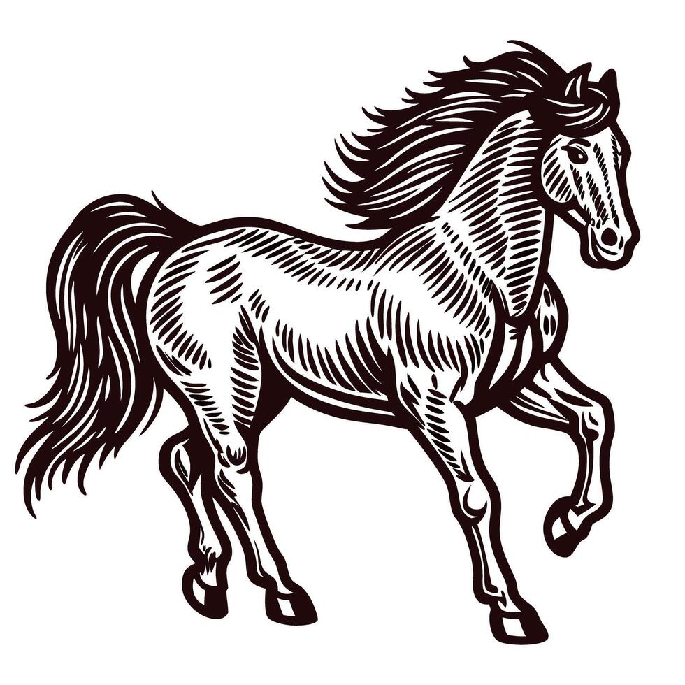 Vintage engraved illustration of a galloping horse with flowing mane in dynamic pose isolated on white background vector