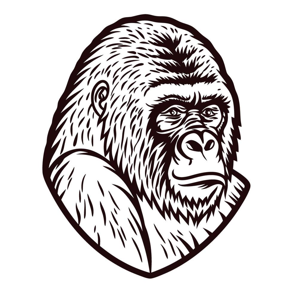 Hand drawn gorilla head sketch in vintage engraved with bold black lines isolated on white vector