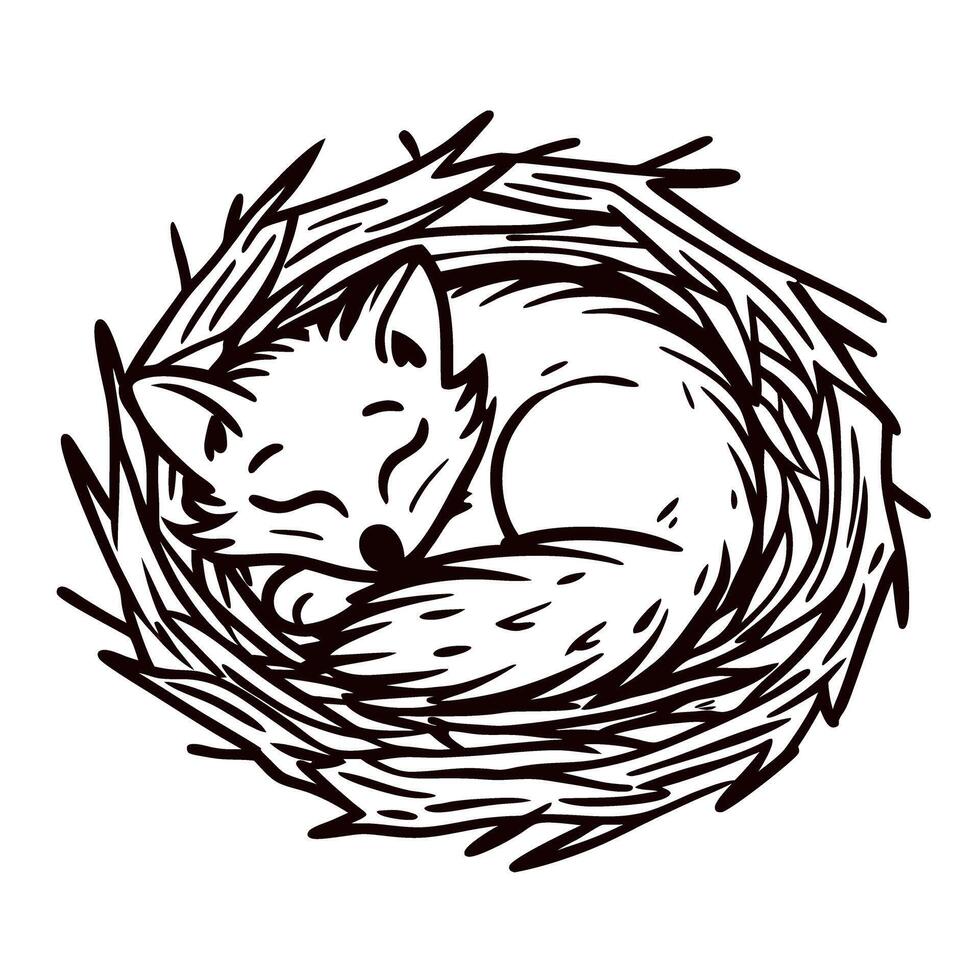 Hand drawn curled fox sleeping in nest with bushy tail, detailed black and white line illustration vector