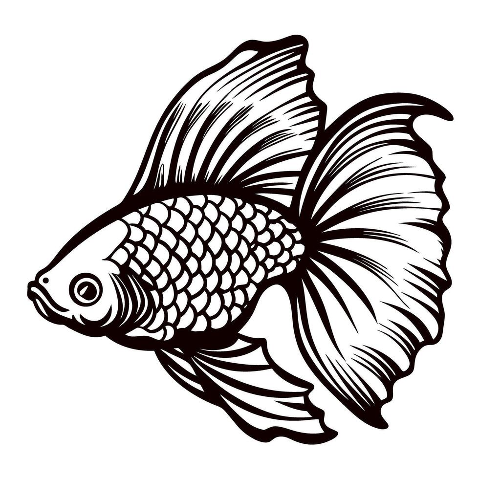 Detailed hand drawn illustration of a goldfish with flowing fins and scales, black and white sketch vector
