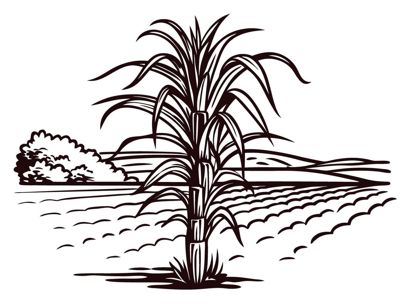 Scenic sugarcane field with farmland and hills in black and white vector