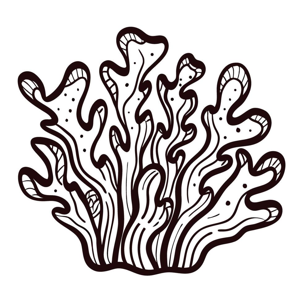 Hand drawn coral illustration isolated on white background vintage marine botanical sketch with wavy branches vector