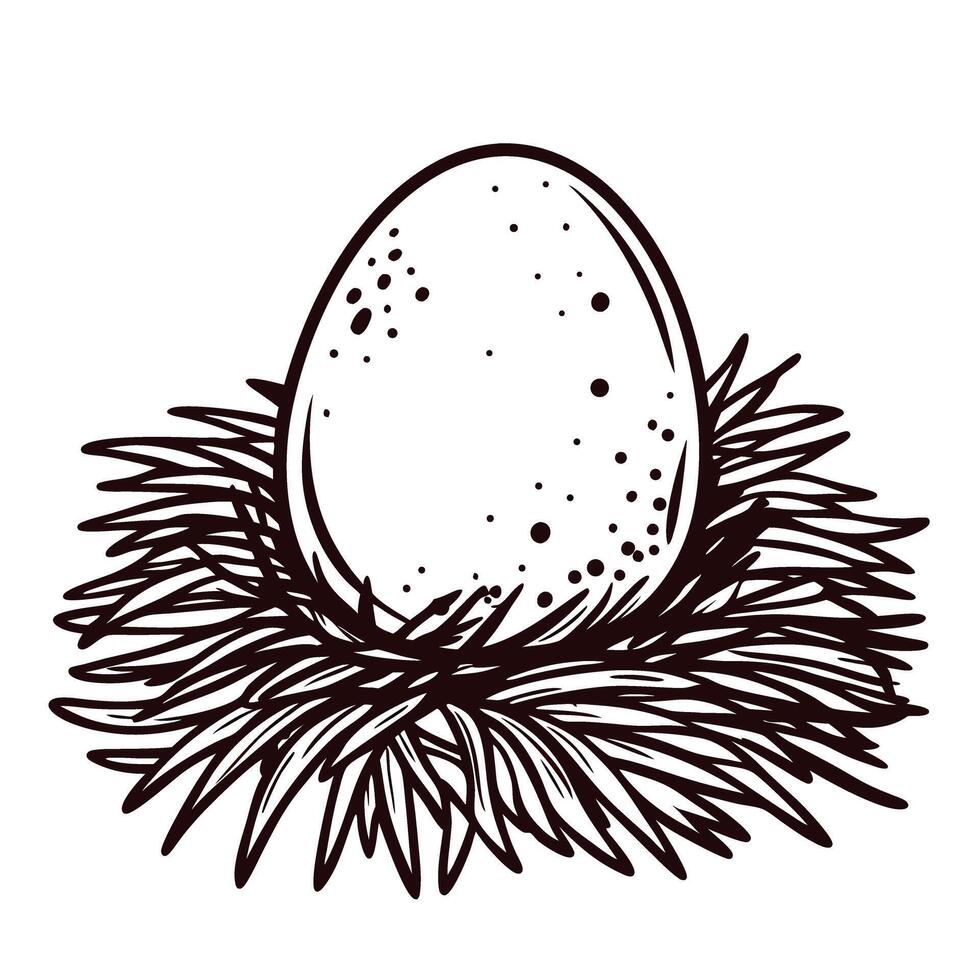 Hand drawn egg illustration resting in detailed bird nest with scattered speckled pattern isolated on white vector