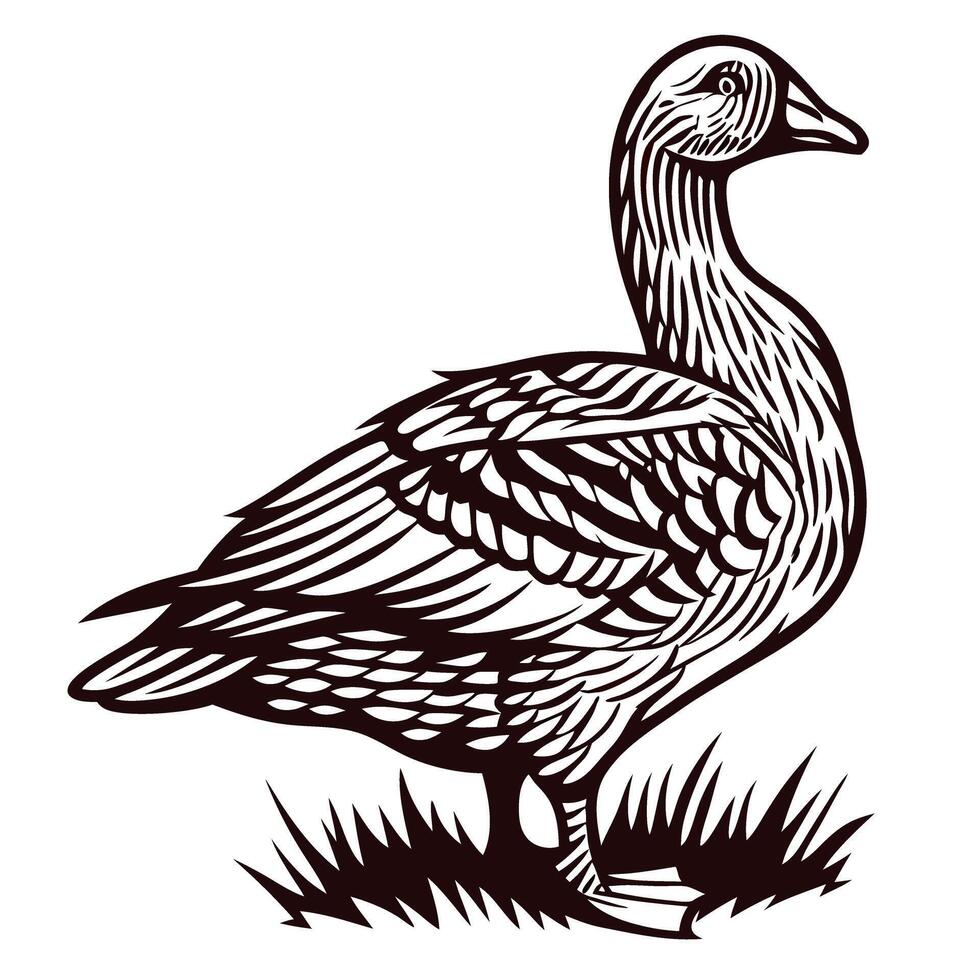 Intricately detailed illustration of a standing goose on grass in vintage engraved drawing vector