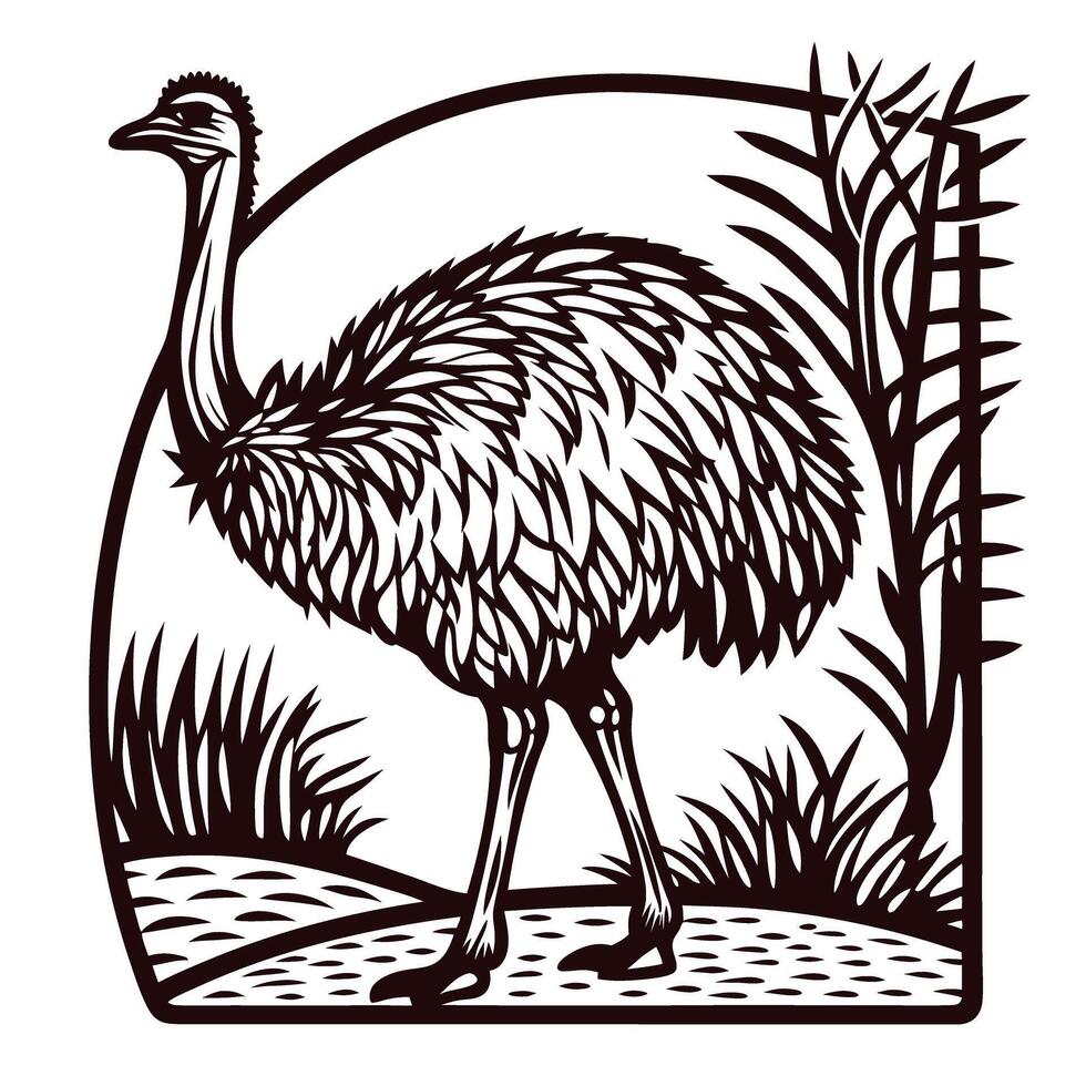 Emu standing in grassland illustration with decorative nature elements and detailed feather texture line art vector