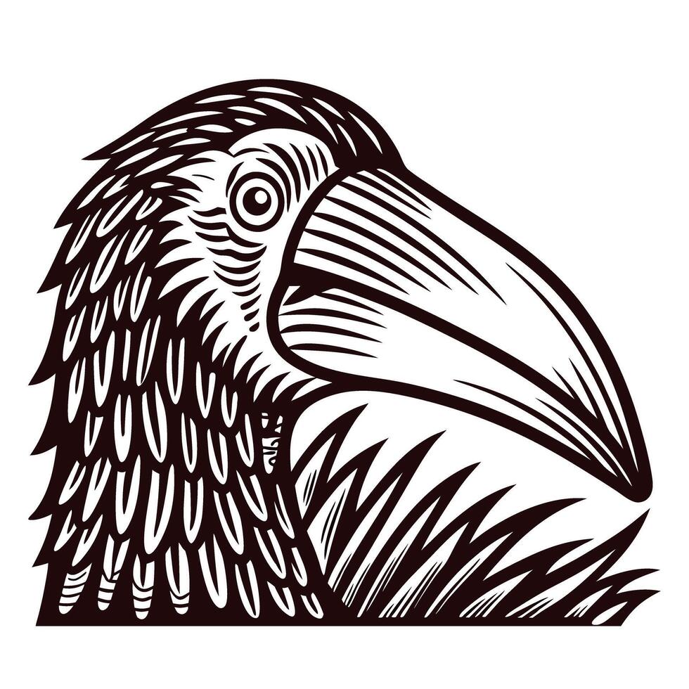 Hand drawn black and white illustration of toucan bird head in vintage engraved vector