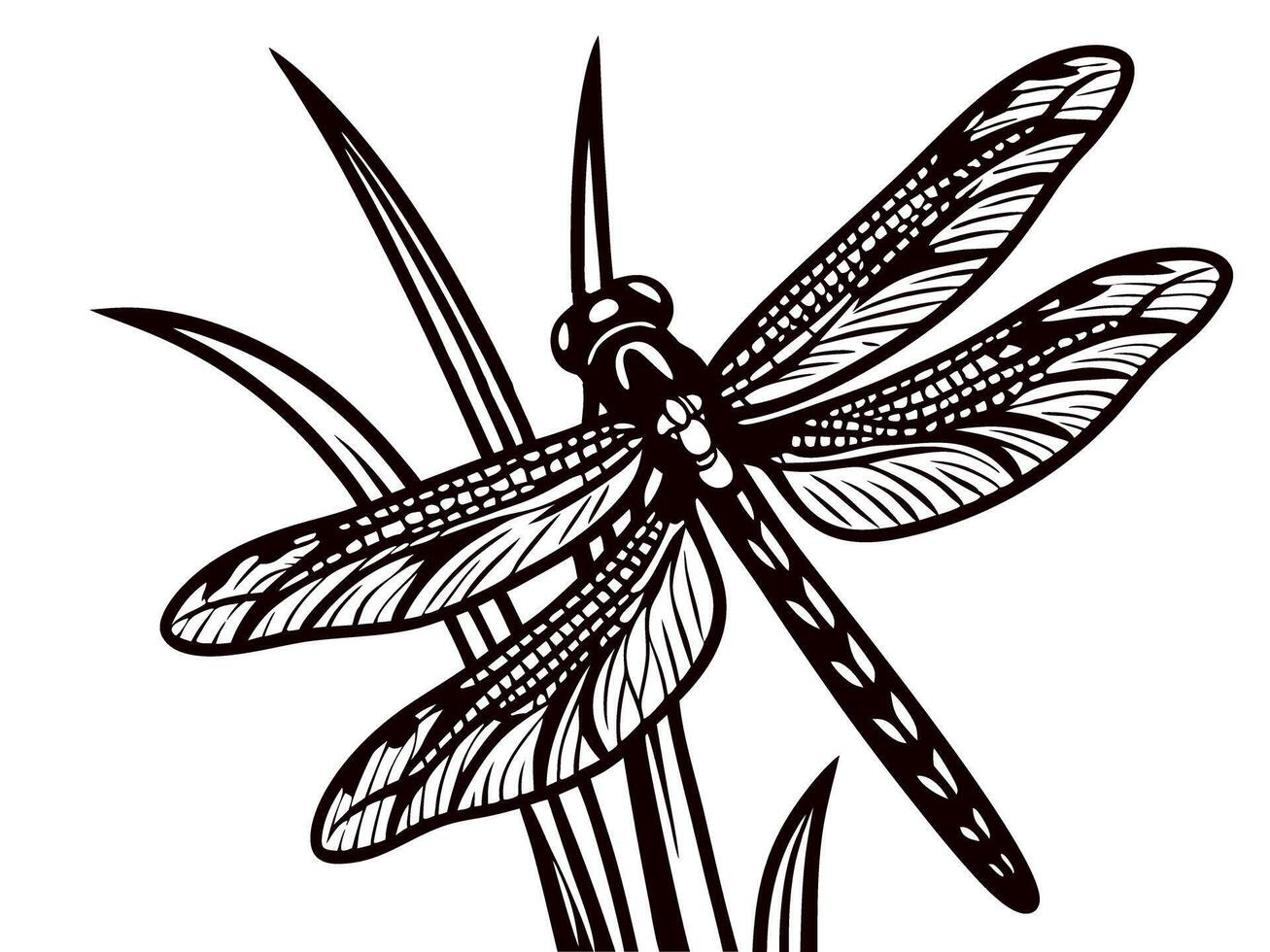 Intricate black and white dragonfly with detailed wing patterns on grass blades vector