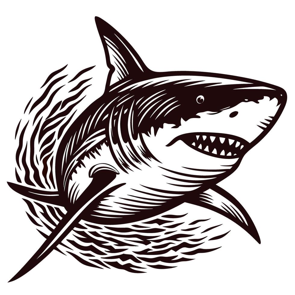 Fierce great white shark illustration with open mouth and sharp teeth in swirling water, bold black outline drawing vector