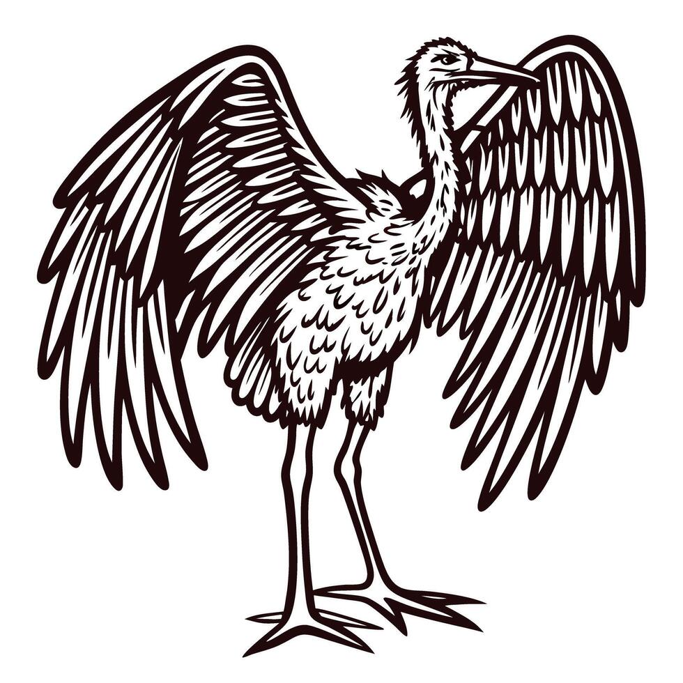 Detailed line art of stork standing with wings spread vector