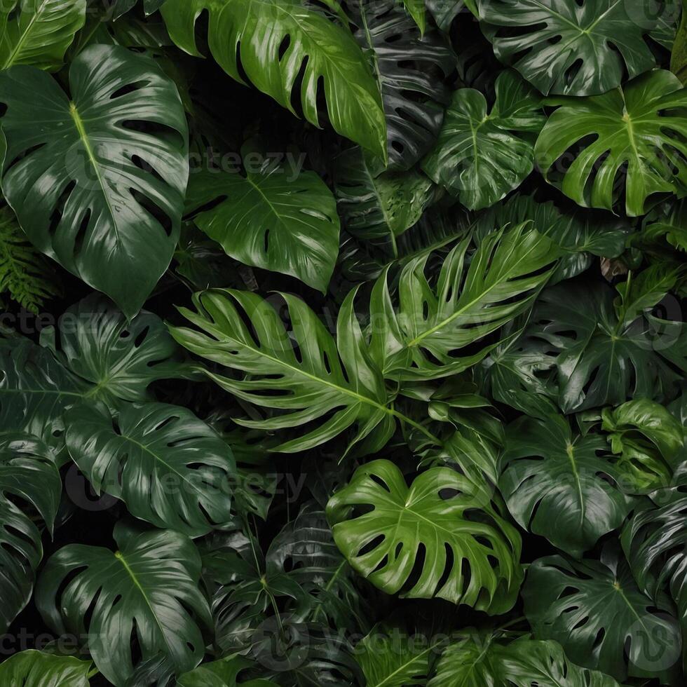 A lush green plant with large leaves and a variety of different sizes photo