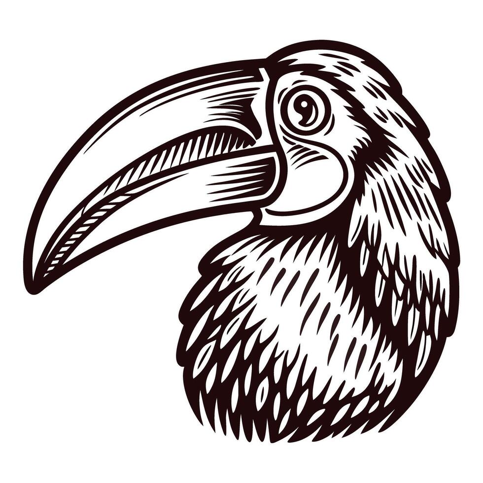 Hand drawn toucan head illustration with detailed beak and feathers in vintage engraved vector