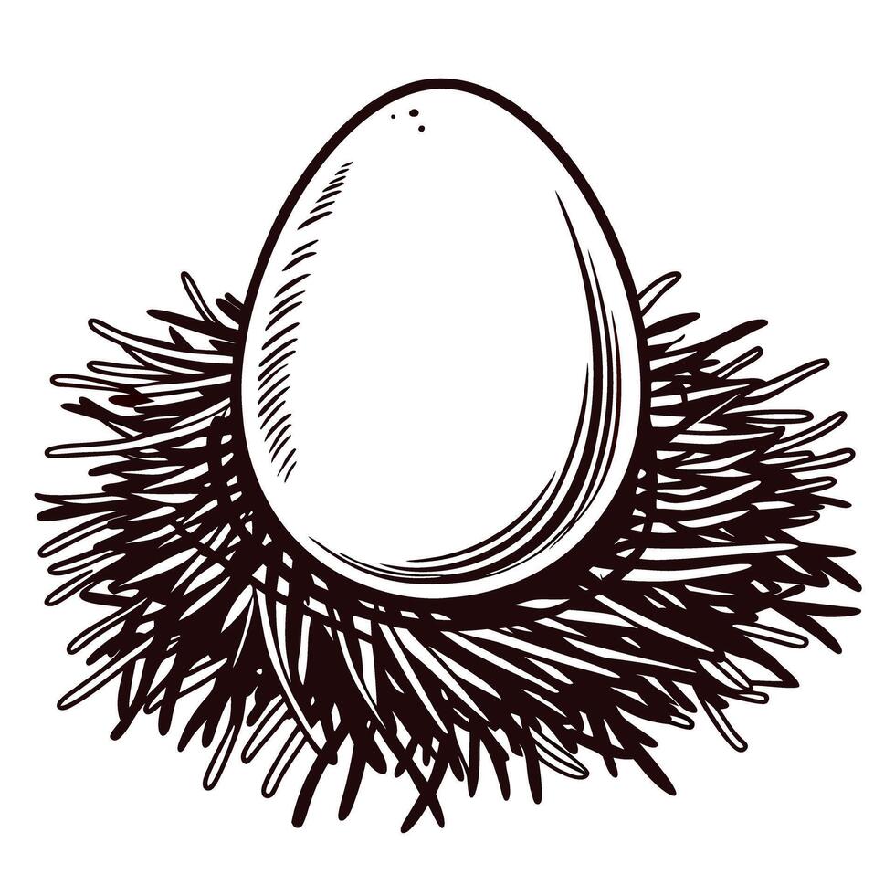 Hand drawn illustration of egg resting in bird nest isolated on white vintage engraved ink sketch vector