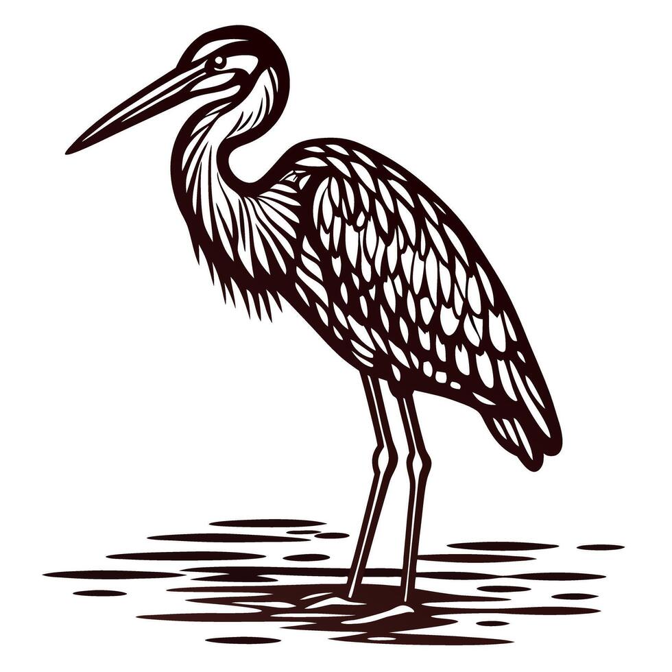 Standing heron illustration with detailed plumage, wading in shallow water, vintage line art vector