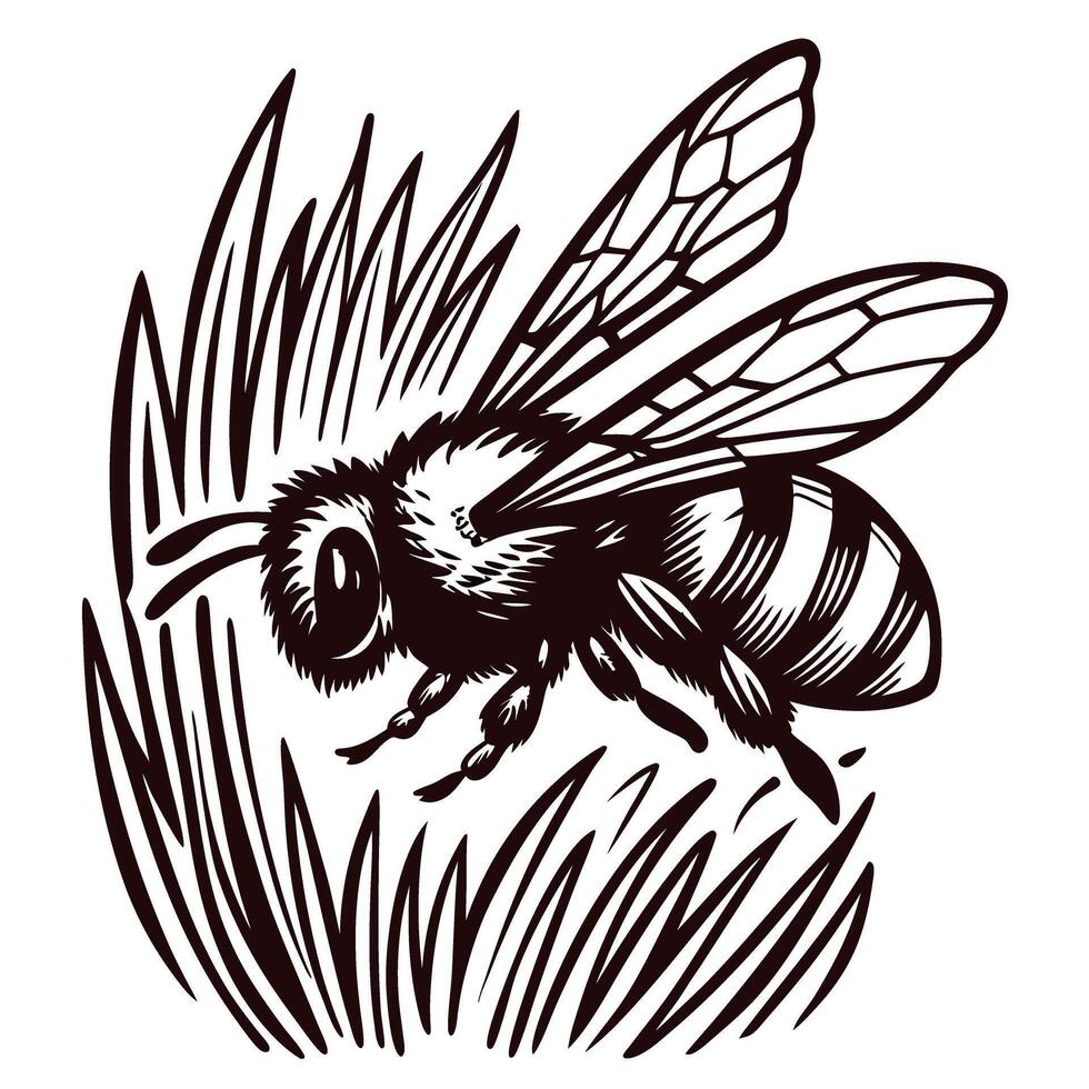 Detailed of a bee on grass blades featuring intricate wing patterns and body texture vector