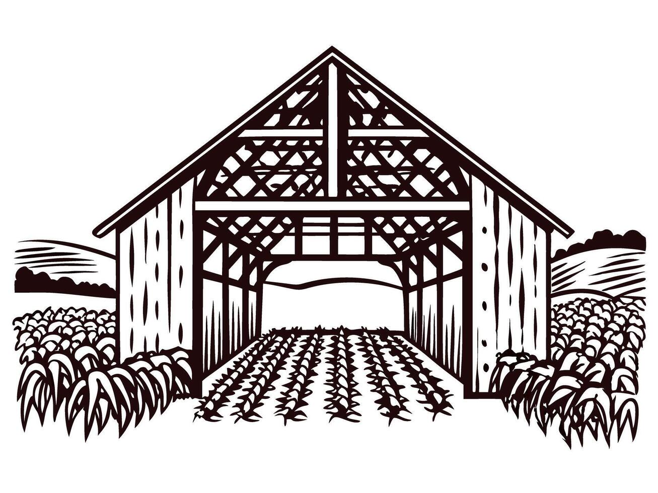 Hand drawn barn with open doors and crop rows surrounded by corn fields in rural countryside landscape vector