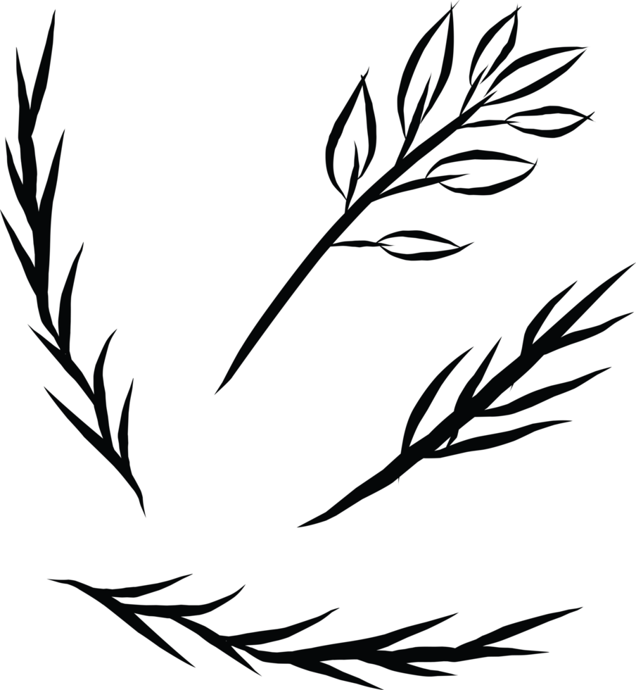 Minimalist Hand-Drawn Branches and Leaves Art png