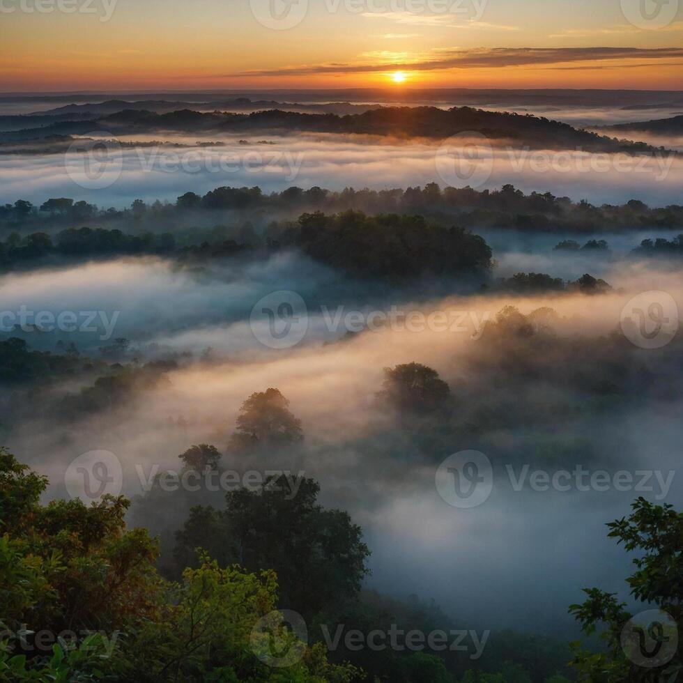 The sun is slowly setting over a mysterious foggy forest scene photo