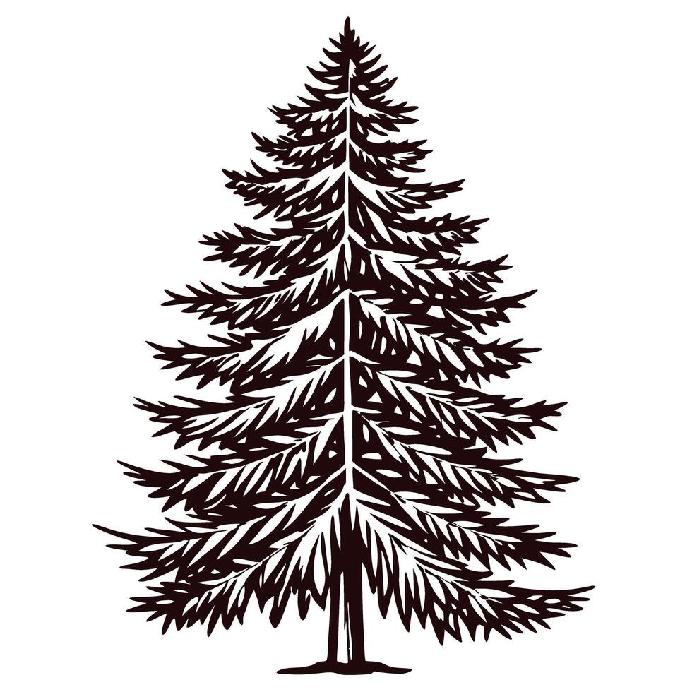 Hand drawn fir tree silhouette detailed pine branch pattern black contour illustration isolated on white background vector