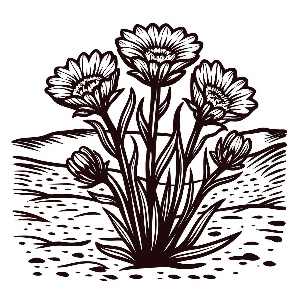 Hand drawn wildflower bouquet engraved illustration with blooming desert landscape and detailed petals vector