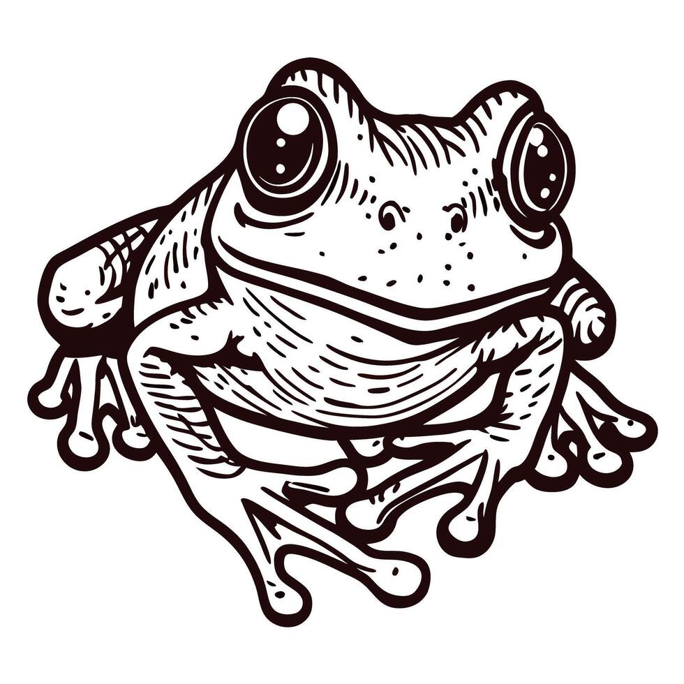 Detailed line drawing of a frog with emphasis on texture and expression vector