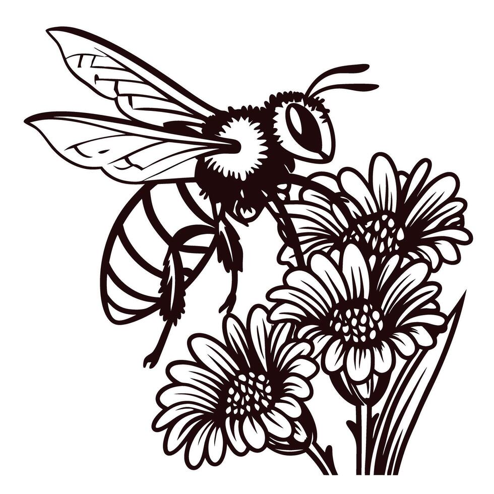 Intricate line art illustration of a bee collecting nectar from blooming daisies in a detailed botanical vector