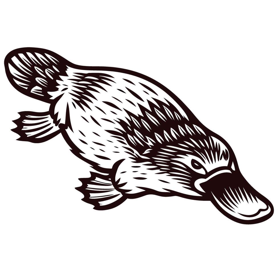 Detailed of a platypus swimming with distinctive features and textured fur patterns vector
