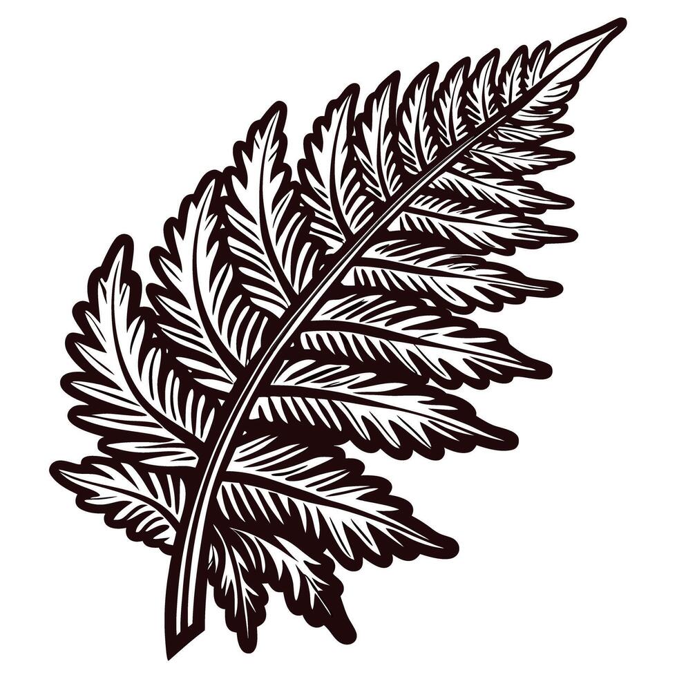 Detailed hand drawn fern leaf illustration with intricate vein pattern, botanical engraving, monochrome black and white art vector
