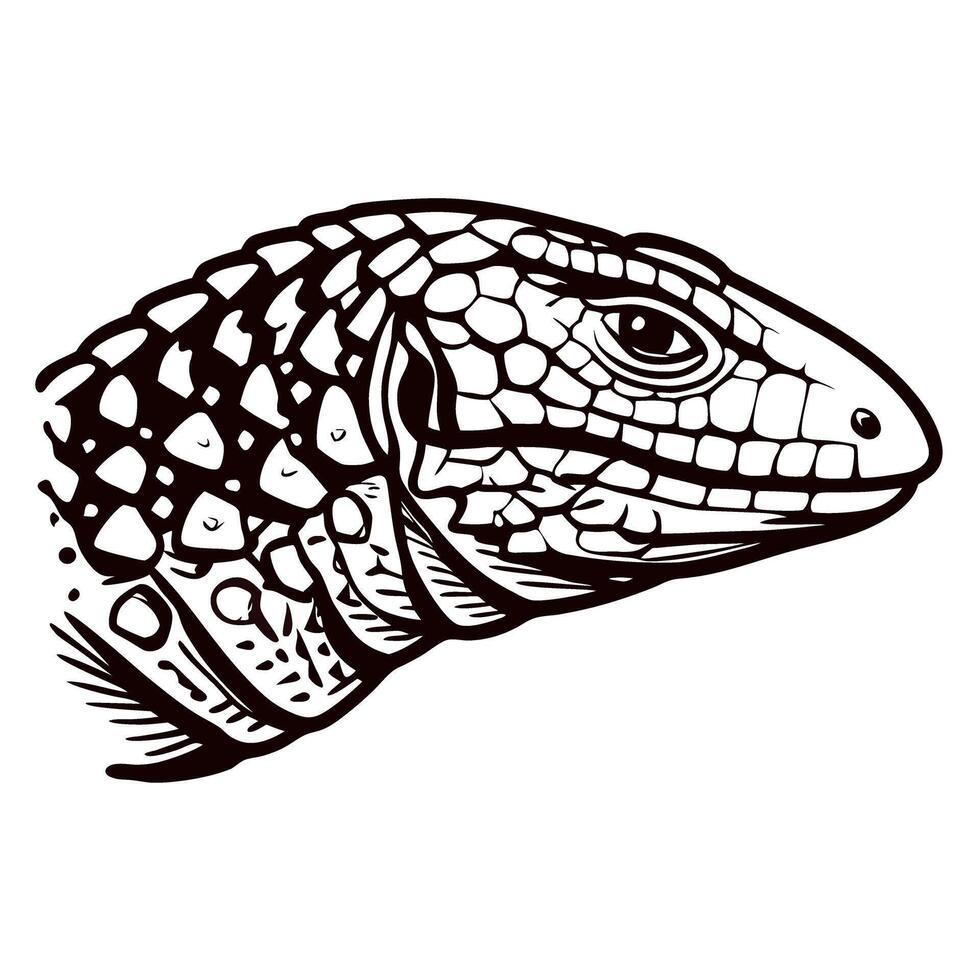 Detailed black and white illustration of lizard head with textured scales and reptile features on white background vector